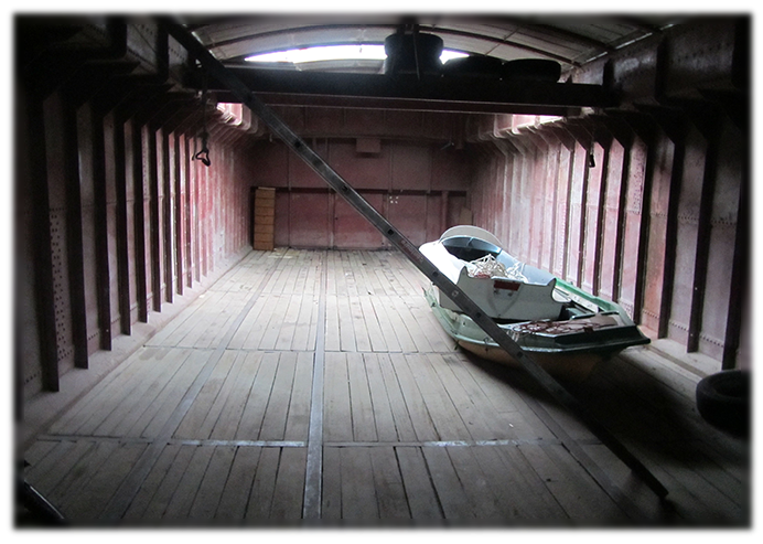 photo Lapin vert avant