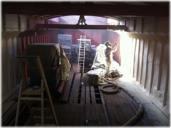 photo Lapin vert trvaux